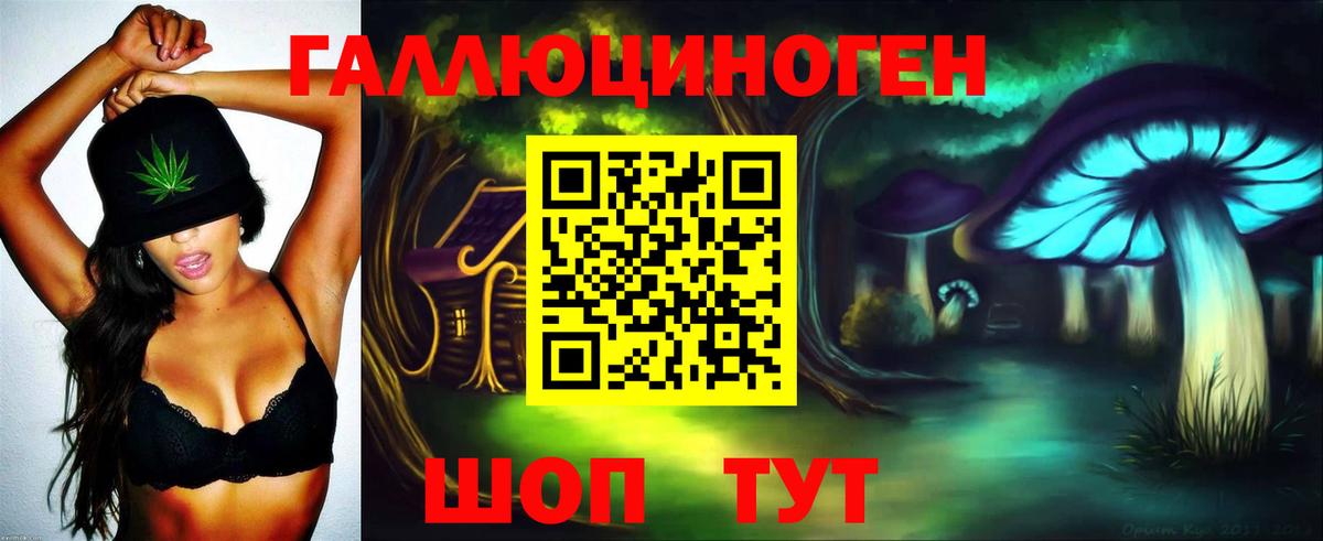 Галлюциногенные грибы Psilocybine cubensis  Вход с VPN  Лосино-Петровский  Галлюциногенные грибы Psilocybe 