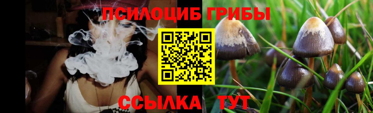 Псилоцибиновые грибы прущие грибы Лосино-Петровский